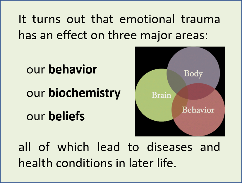 Brain Body Behavior